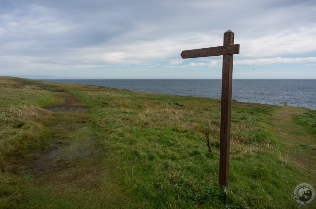 Brough of Deerness, Orkney Islands, Scotland