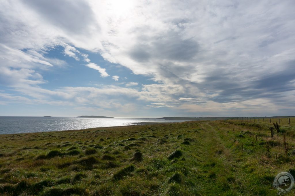 Brough of Deerness, Orkney Islands, Scotland