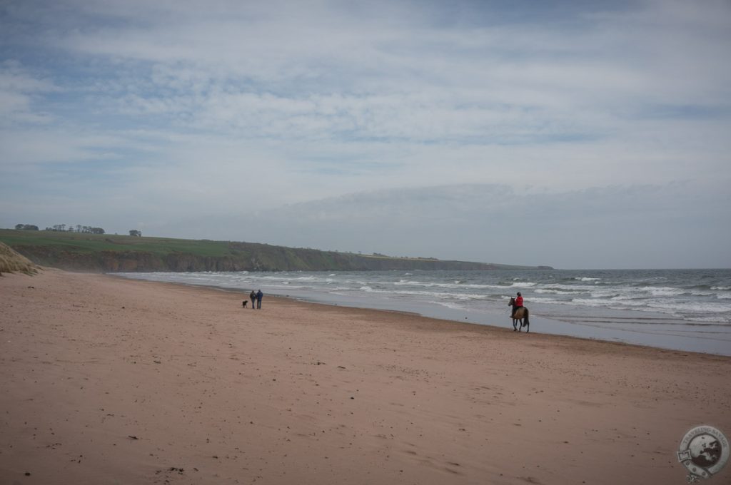 Lunan Bay, Angus, Scotland