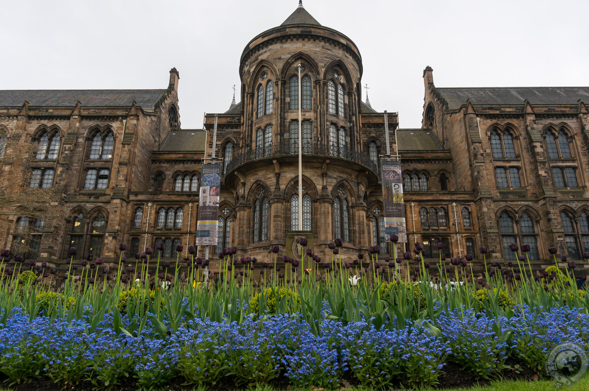 visit hunterian museum