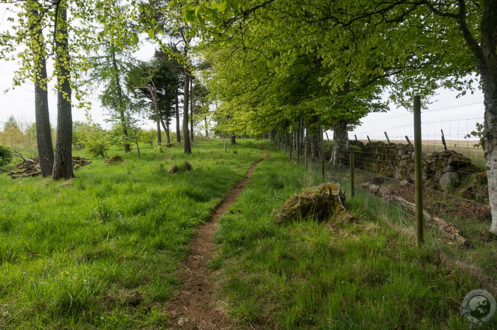 Dunnideer Fort, Insch, Aberdeenshire, Scotland