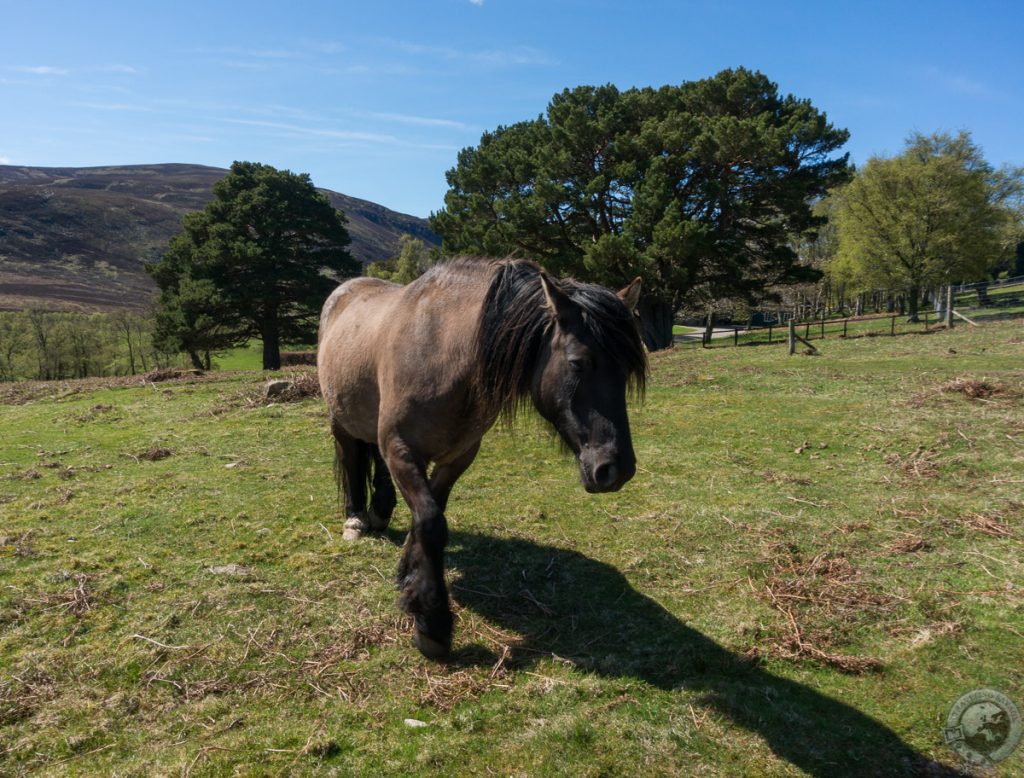 Glen Esk, Angus, Scotland