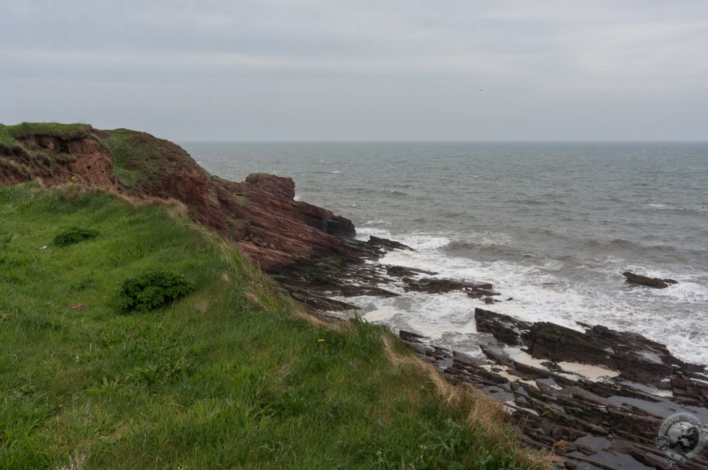 Seaton Cliffs, Arbroath, Angus, Scotland