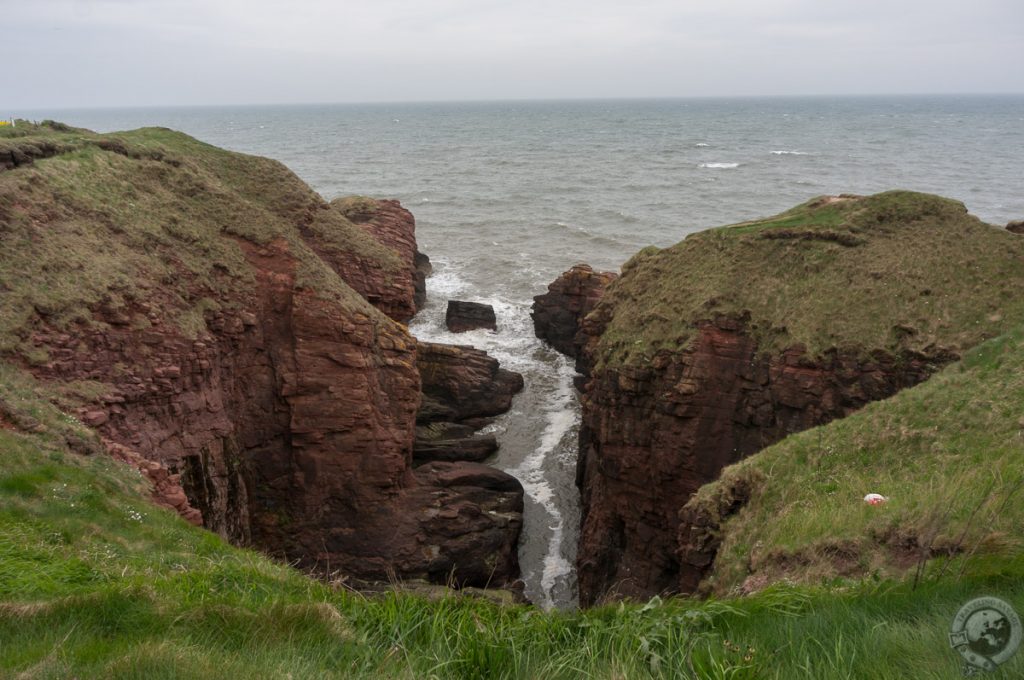 Seaton Cliffs, Arbroath, Angus, Scotland