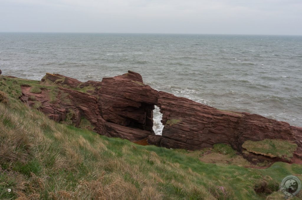 Seaton Cliffs, Arbroath, Angus, Scotland