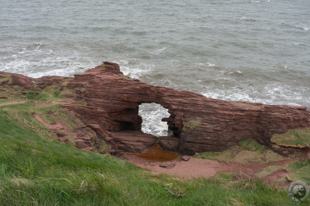 Seaton Cliffs, Arbroath, Angus, Scotland