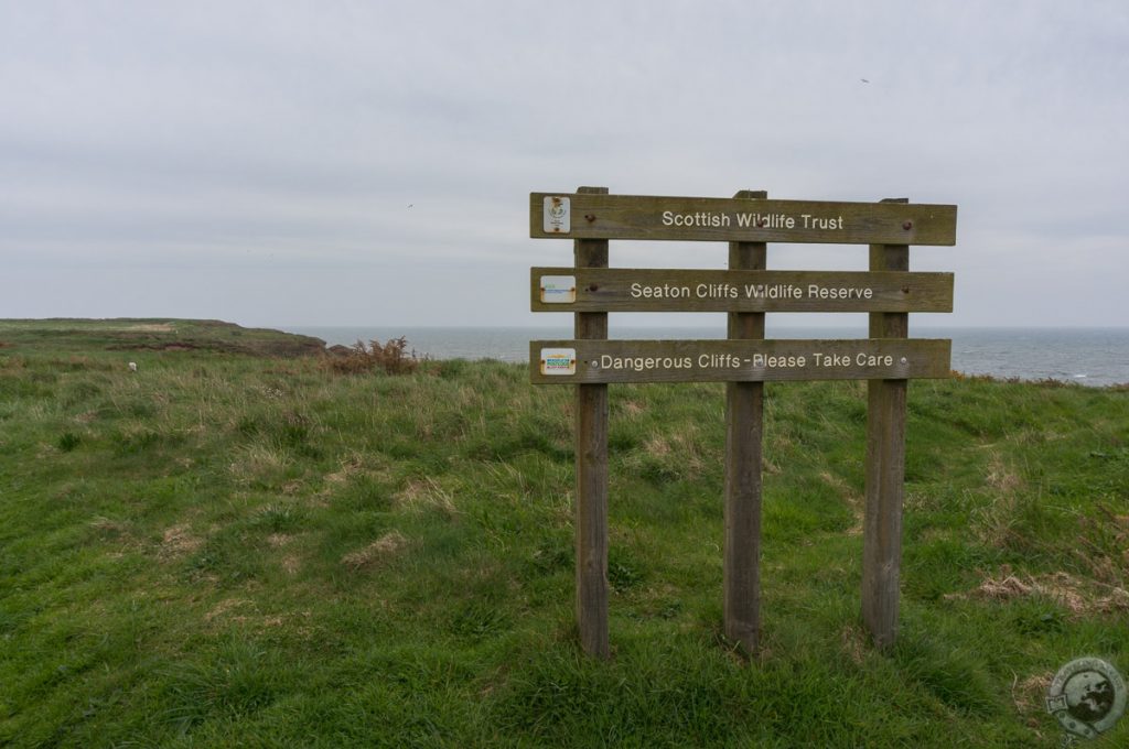 Seaton Cliffs, Arbroath, Angus, Scotland