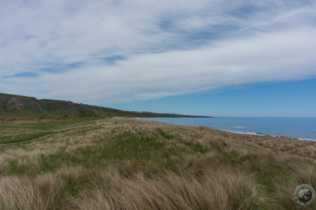 St. Cyrus NNR, Montrose, Aberdeenshire