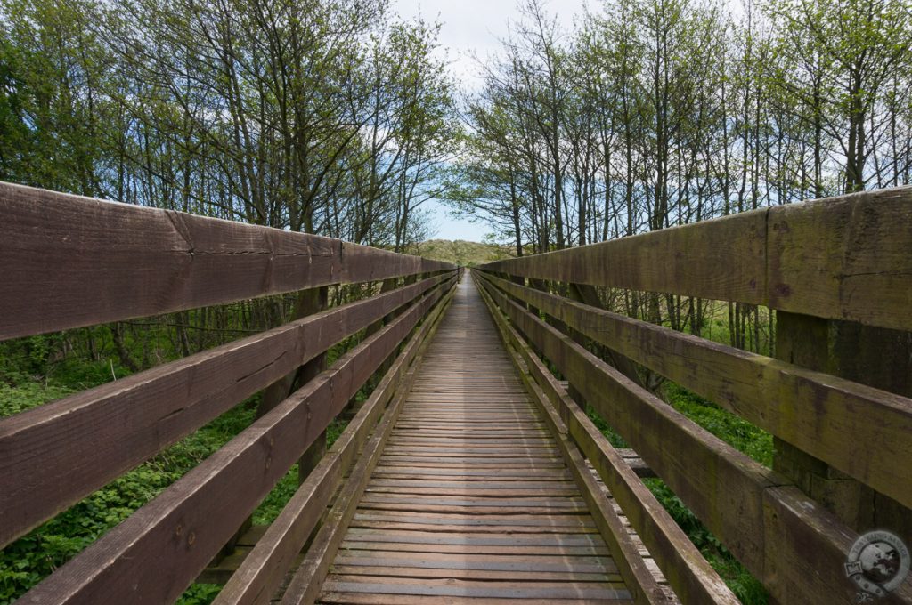 St. Cyrus NNR, Montrose, Aberdeenshire