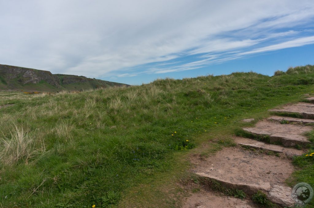 St. Cyrus NNR, Montrose, Aberdeenshire