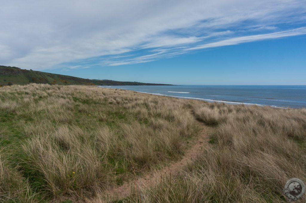 St. Cyrus NNR, Montrose, Aberdeenshire