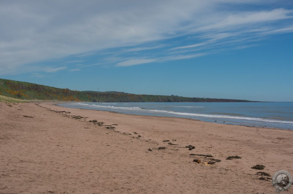 St. Cyrus NNR, Montrose, Aberdeenshire