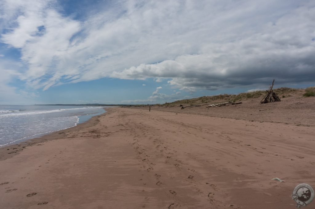 St. Cyrus NNR, Montrose, Aberdeenshire