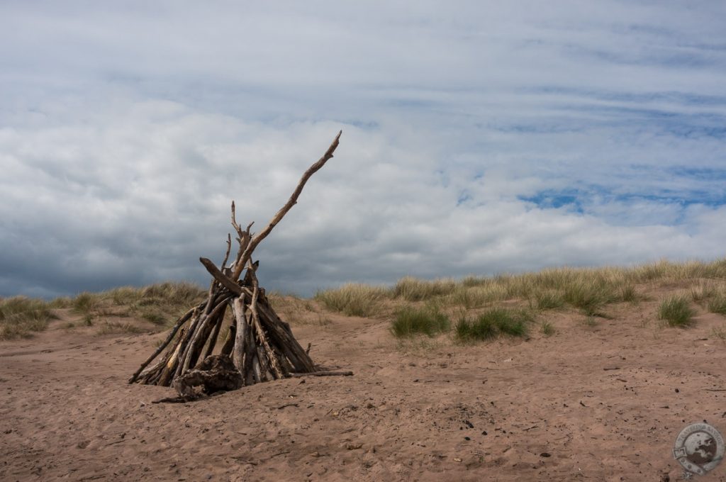 St. Cyrus NNR, Montrose, Aberdeenshire