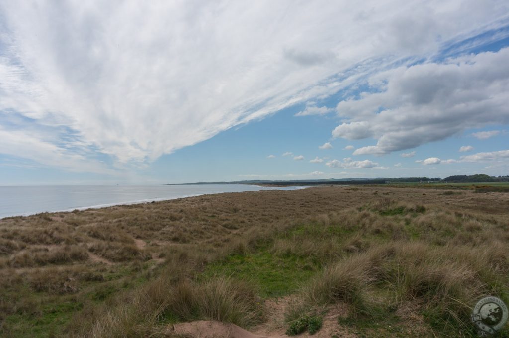 St. Cyrus NNR, Montrose, Aberdeenshire