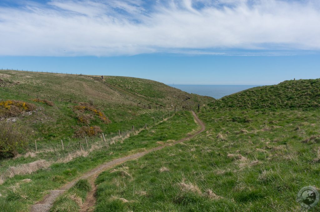 RSPB Fowlsheugh, Aberdeenshire, Scotland