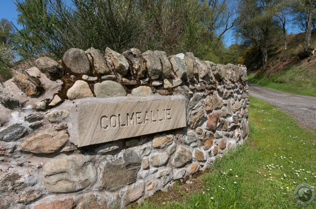 Colmeallie Standing Stones, Angus, Scotland