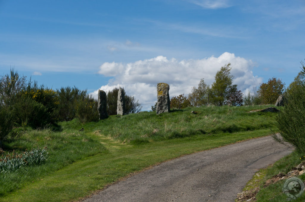 Colmeallie Standing Stones, Angus, Scotland