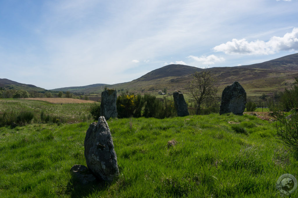 Colmeallie Standing Stones, Angus, Scotland