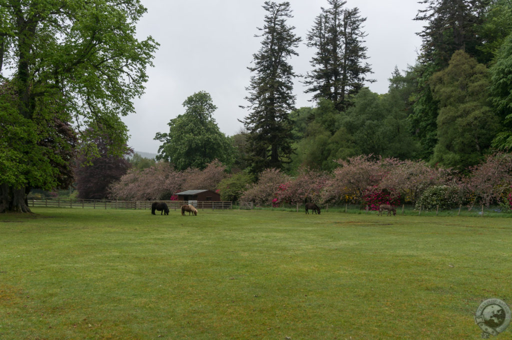 Ballindalloch Castle, Speyside, Scotland