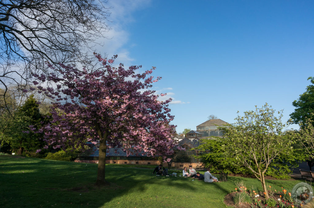 Botanic Gardens, Glasgow, Scotland